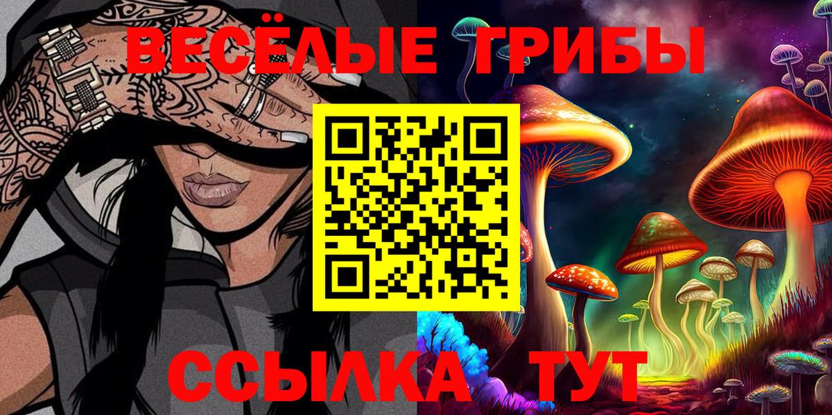 Галлюциногенные грибы Psilocybine cubensis Костомукша