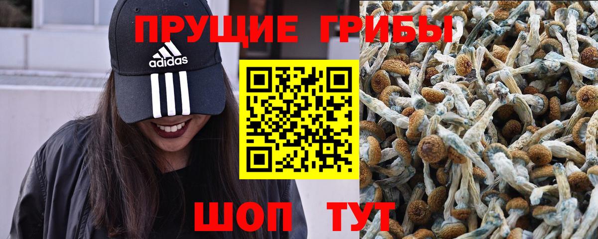 Костомукша  Галлюциногенные грибы мухоморы  Вход с VPN 